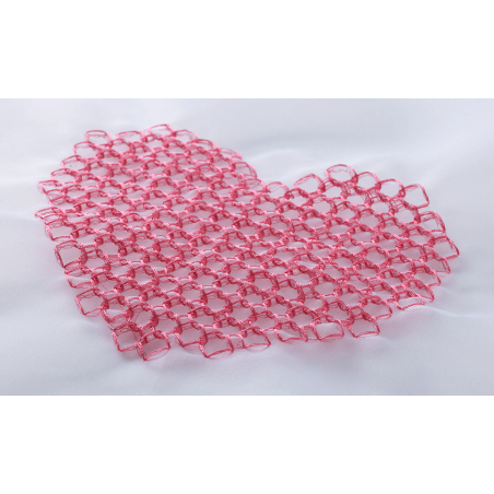 Collection de motifs de broderie n° 14 BLECUSB14