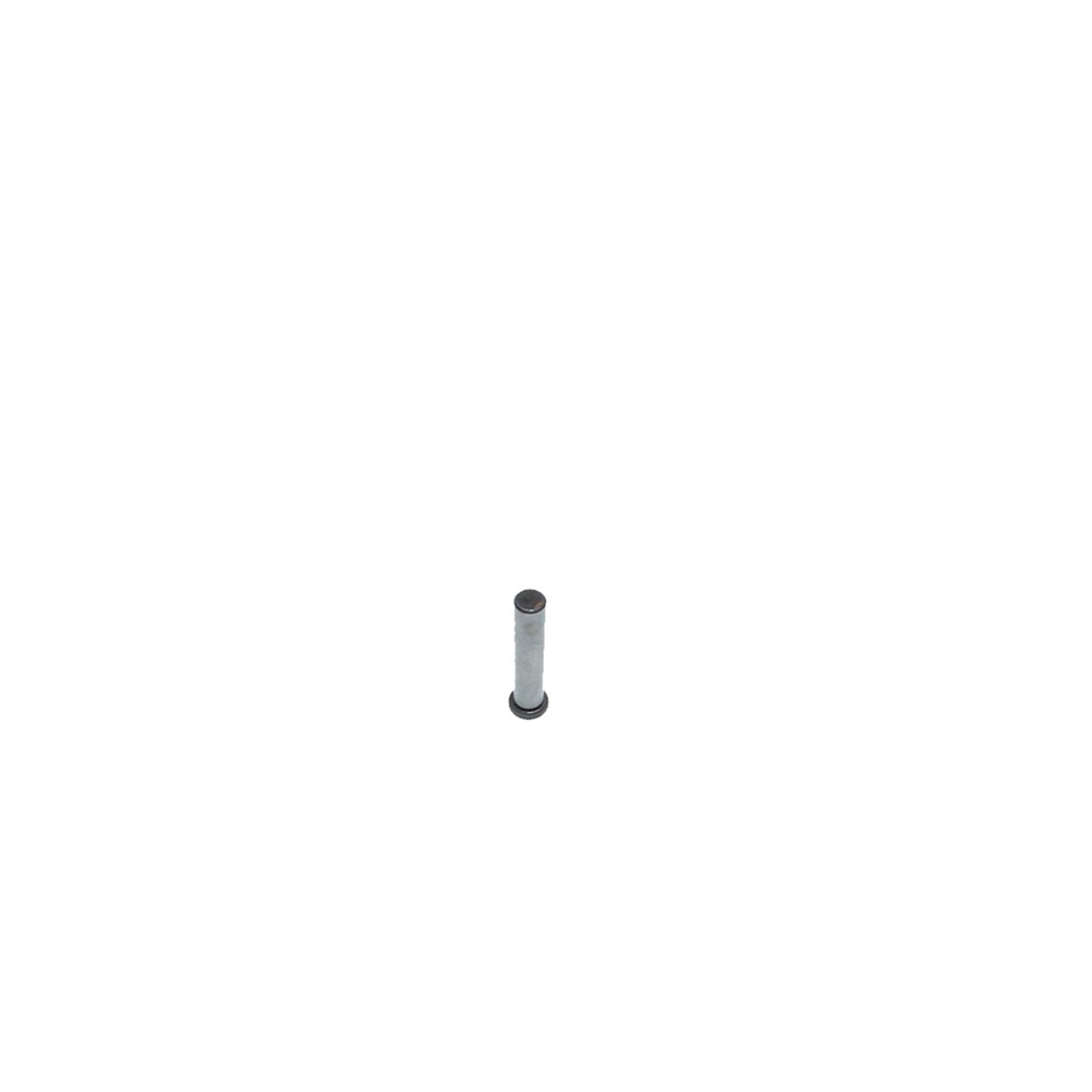 Fratelli Alberti 804 GOUPILLE POUR ROULEAU 50 MM