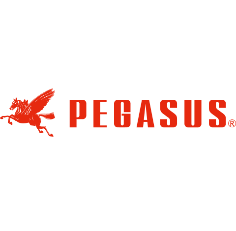 PEGASUS